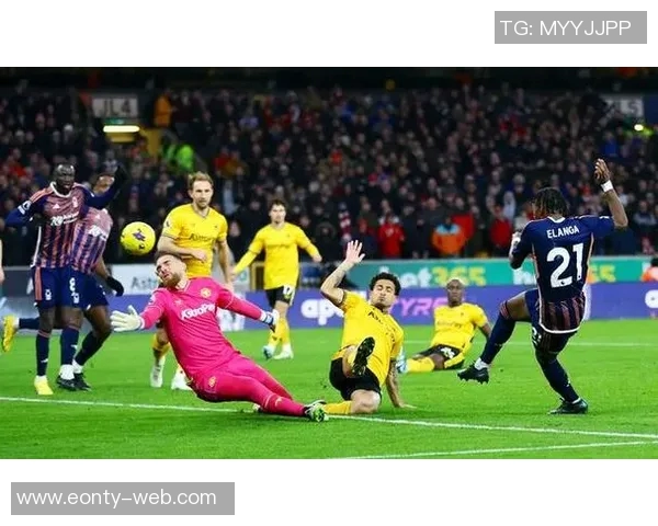 狼队足球俱乐部的辉煌历程与未来展望解析